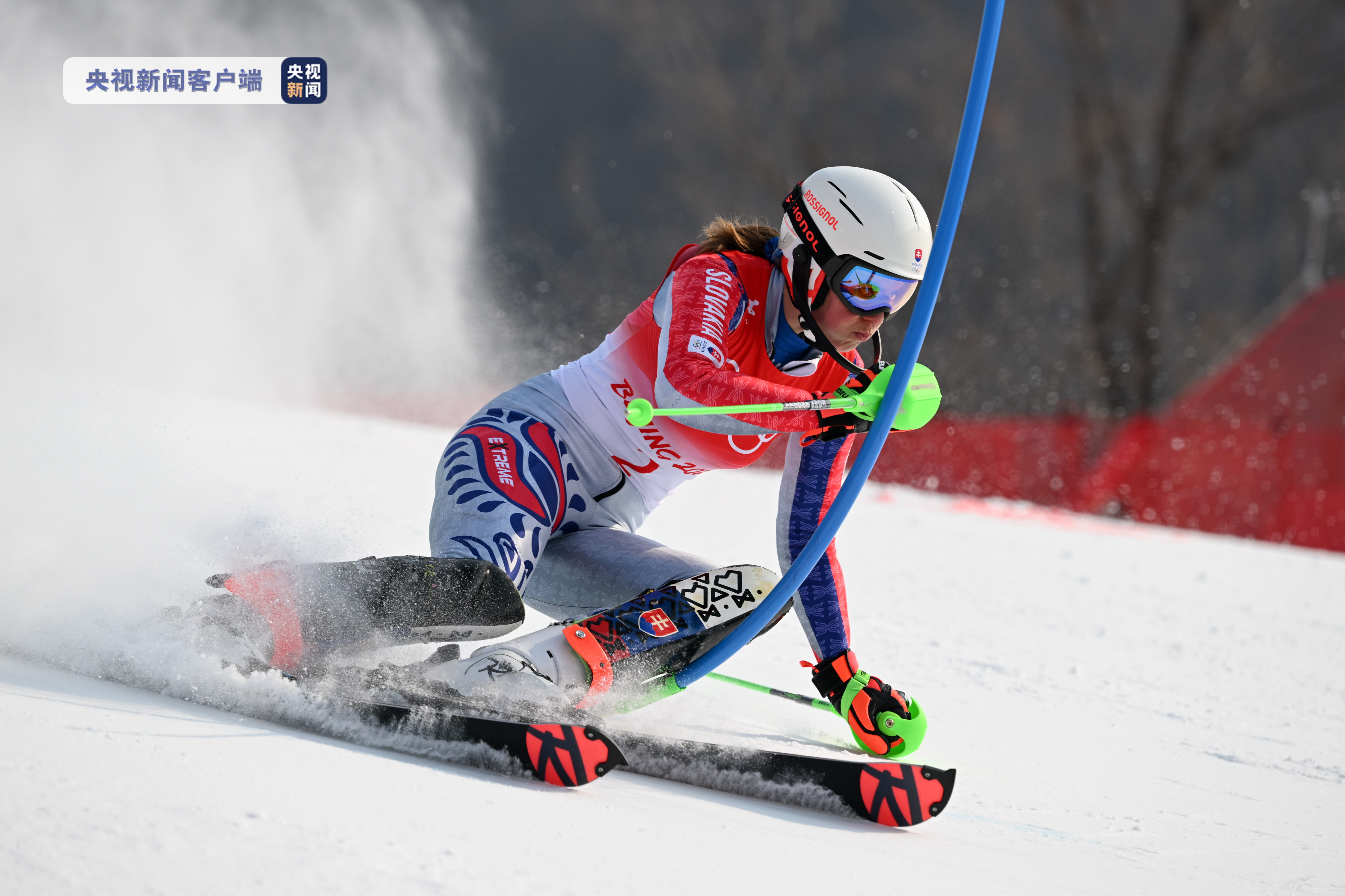 关于挪威女子滑雪选手摘金创纪录，稳步上升的信息